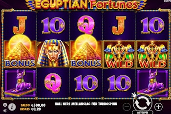7 New Slots You Should Check Out