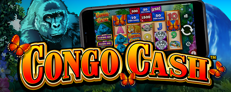 Head to the Jungle for Congo Cash
