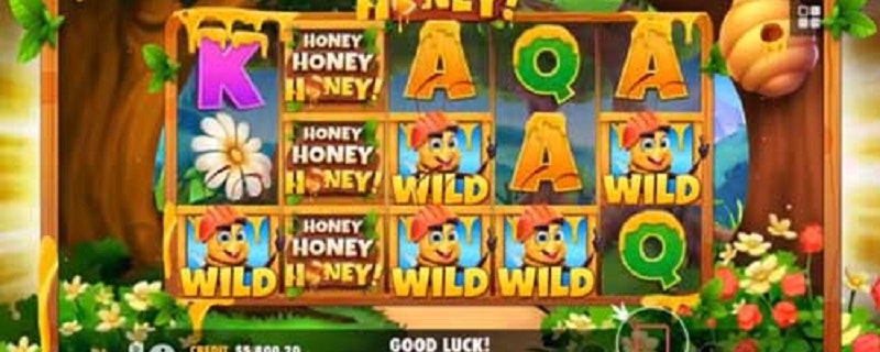 Honey Honey Honey from Pragmatic Play
