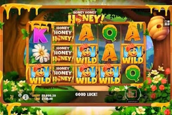 Honey Honey Honey from Pragmatic Play