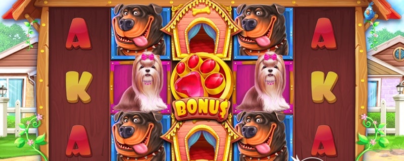 Pragmatic Play releases The Dog House Slot