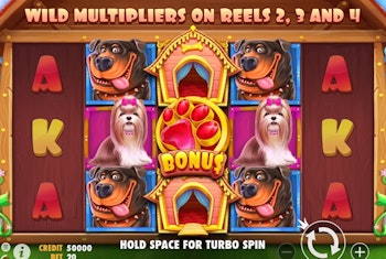 Pragmatic Play releases The Dog House Slot