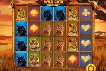 Wild Cats Multiline Slot from Red tiger