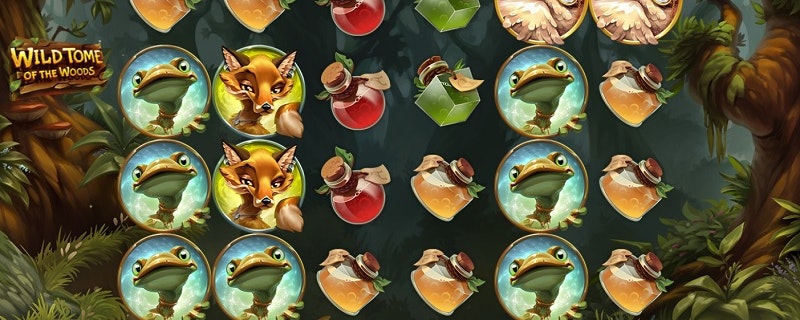 Wild Tome of the Woods Slot from Quickspin