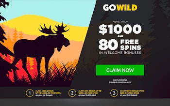 GoWild Casino