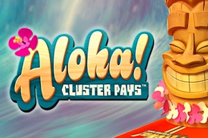 Aloha!