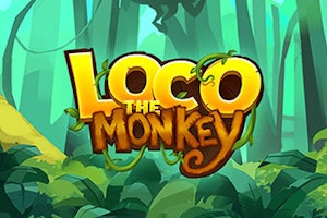 Loco The Monkey